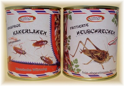 KAKERLAKEN HEUSCHRECKEN in Adventskalender Scherzartikel Weihnachten essen cola