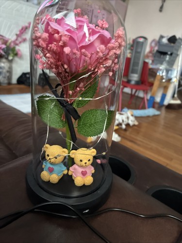 Decorative Led Valentine String Lights Used Once. With Charging Cable Plug In