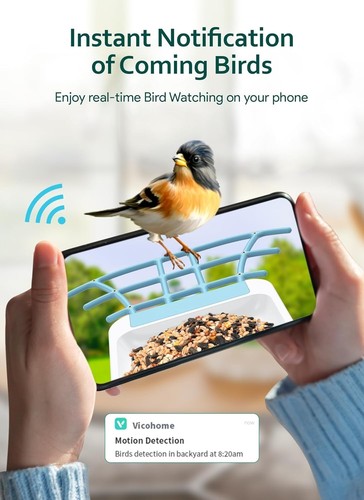 Comedero para pájaros con cámara - Comedero solar inteligente con identificazione - Foto 3 di 9