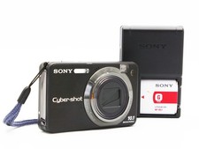 Sony Cyber-shot DSC-W170 10.1MP Digital Camera - Silver (DSC-W170