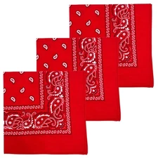 3 PCS 22x22-inch 100% Cotton Bandana Paisley Handkerchief Headband Scarf
