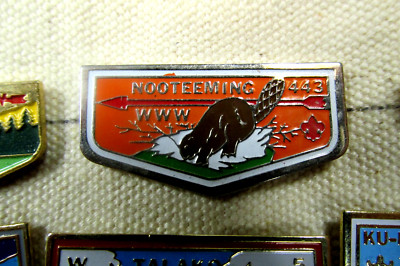 Vintage OA LODGE 443 Pin NOOTEEMING Boy Scout Early Wht Bdr NY New York Mgd 1996