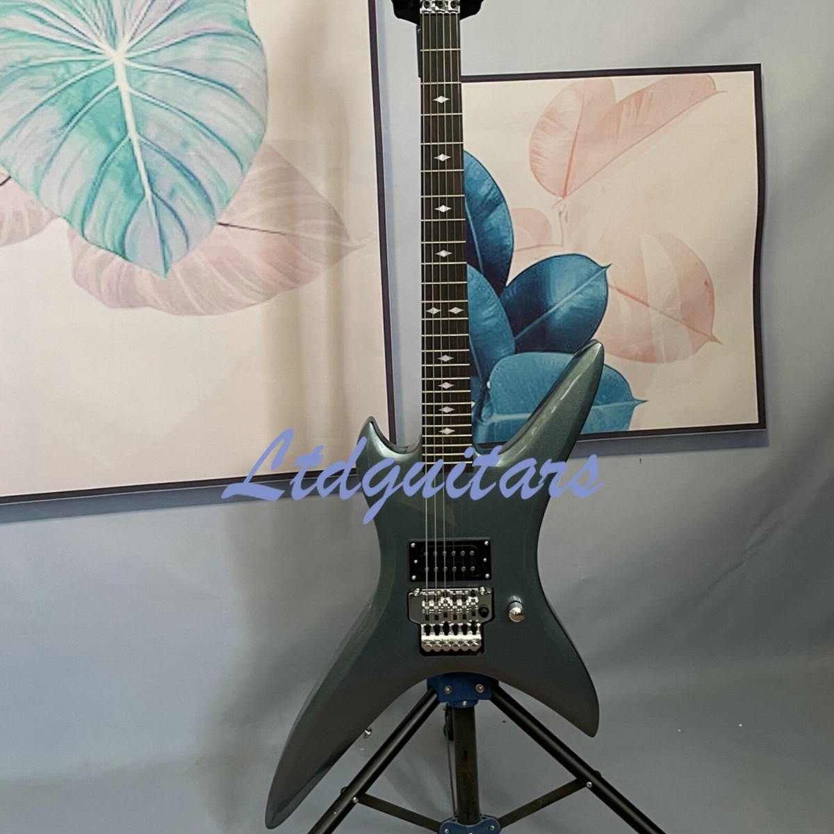 BC Stealth Chuck Schuldiner's Tribute Electric Guitar One