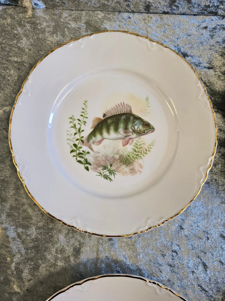 Hutschenreuther Fischteller 6 Stück 19,5 cm Fischdekor Goldrand - Bild 3 von 4