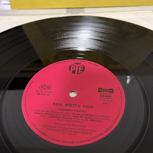 PAUL BRETT‘S SAGE LP JUBILATION FOUNDRY X150 - Foto 2 di 4