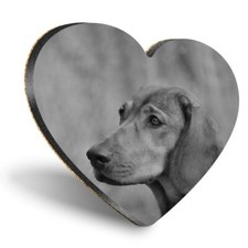 Heart MDF Coasters - BW - Alpine Dachsbracke Puppy Dog  #36724