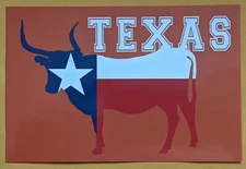 Postcard TX:  Art State Flag/ Texas The Lone Star State