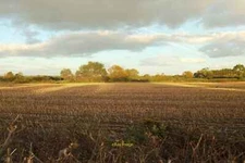 Photo 12x8 Farmland by Manor Farm Ebdon A field of stubble seen from Collu c2016
