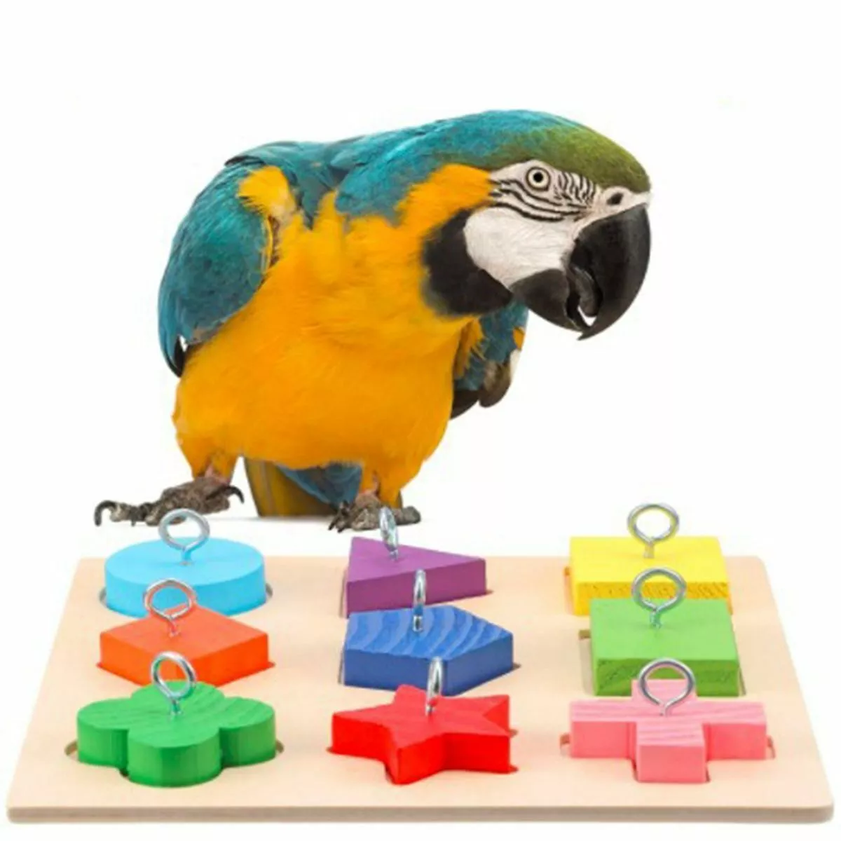 Pet Birds Interactive Puzzle Toys Diy