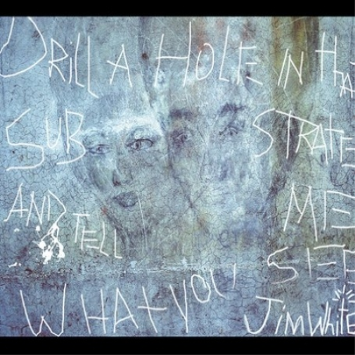 Drill a Hole in That Substrate and Tell Me What You See (CD) Album