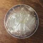 U.S. American Eagle 2005 1 oz  Silver  Coin tarnished  on the front back is good