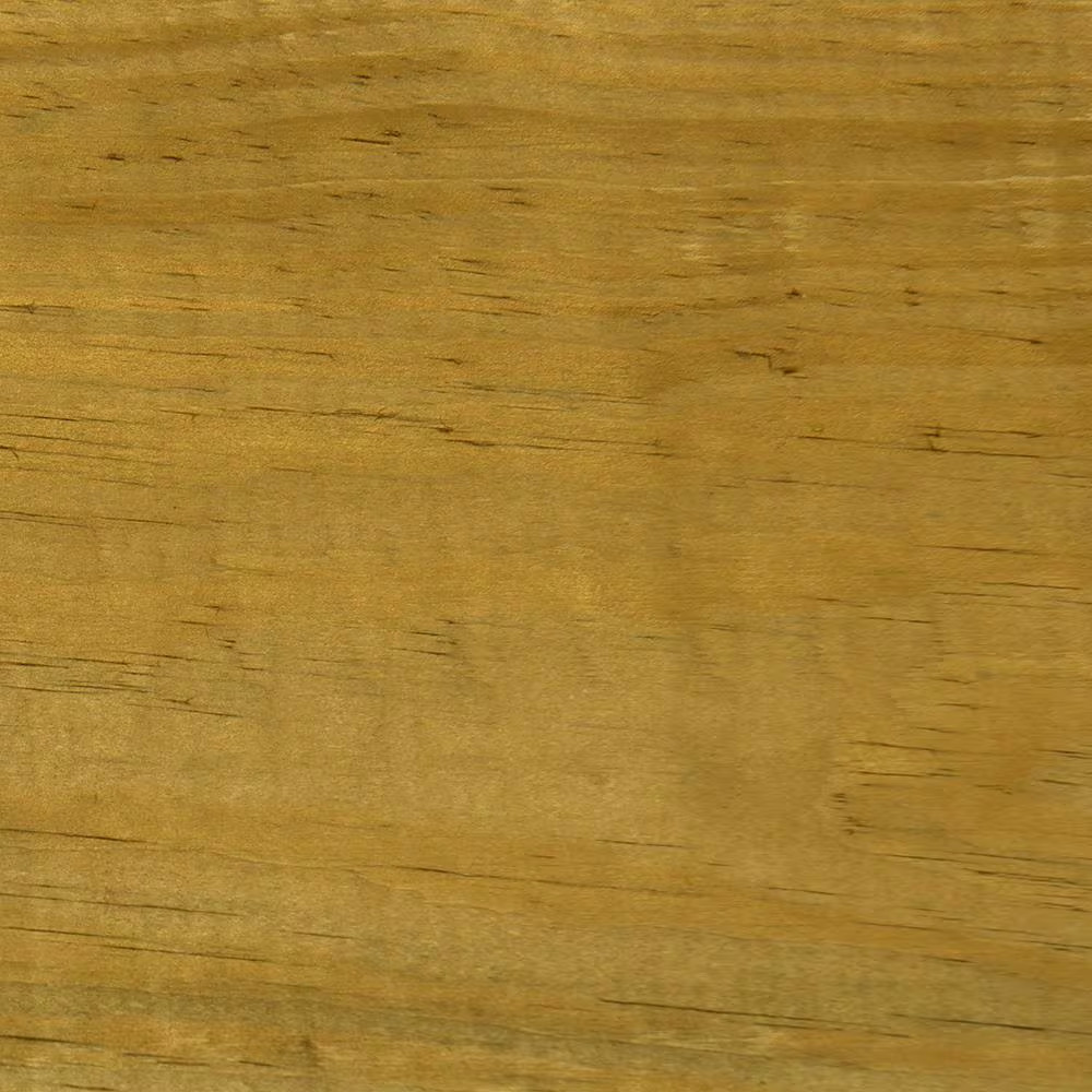 WaterGuard 11 oz. Clear Waterproofing Sealer Spray Multi-Surface Outdoor