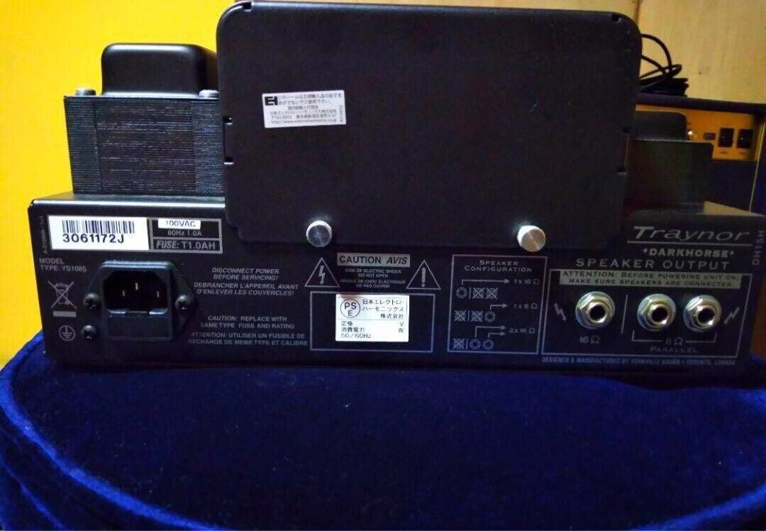 Traynor DH15H Darkhorse 15W Tube Guitar Amp Head Made in Canada