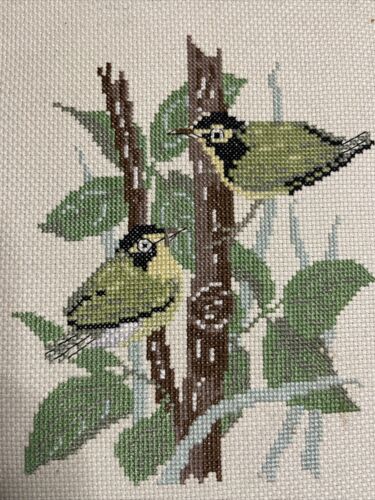 Vintage Cross Stitch Kentucky Warbler Picture In Wooden Frame - Picture 2 of 9
