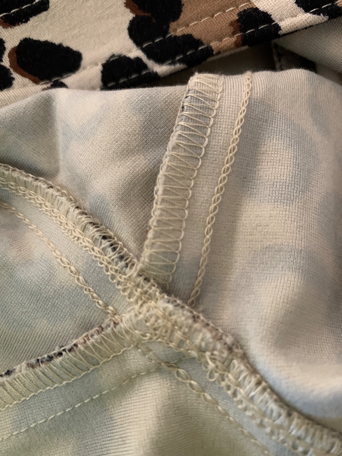 Picture 6 of 6