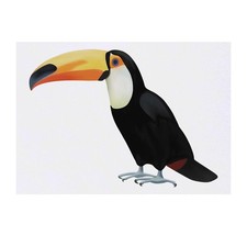 'Toucan' Temporary Tattoos / Transfers TO00032229