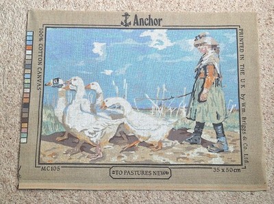 Mäntel Anker Gobelin Nadelspitze: Nur Leinwand - auf Weiden Neu - 35 x 50 cm