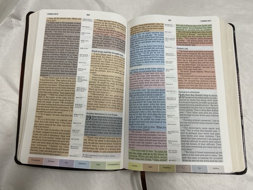 NIV Rainbow Study Bible, Saddle Brown LeatherTouch Imitation Leather Holman Bibl - Foto 8 di 9