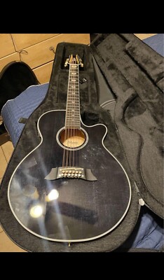 Takamine 12 string guitar thinline