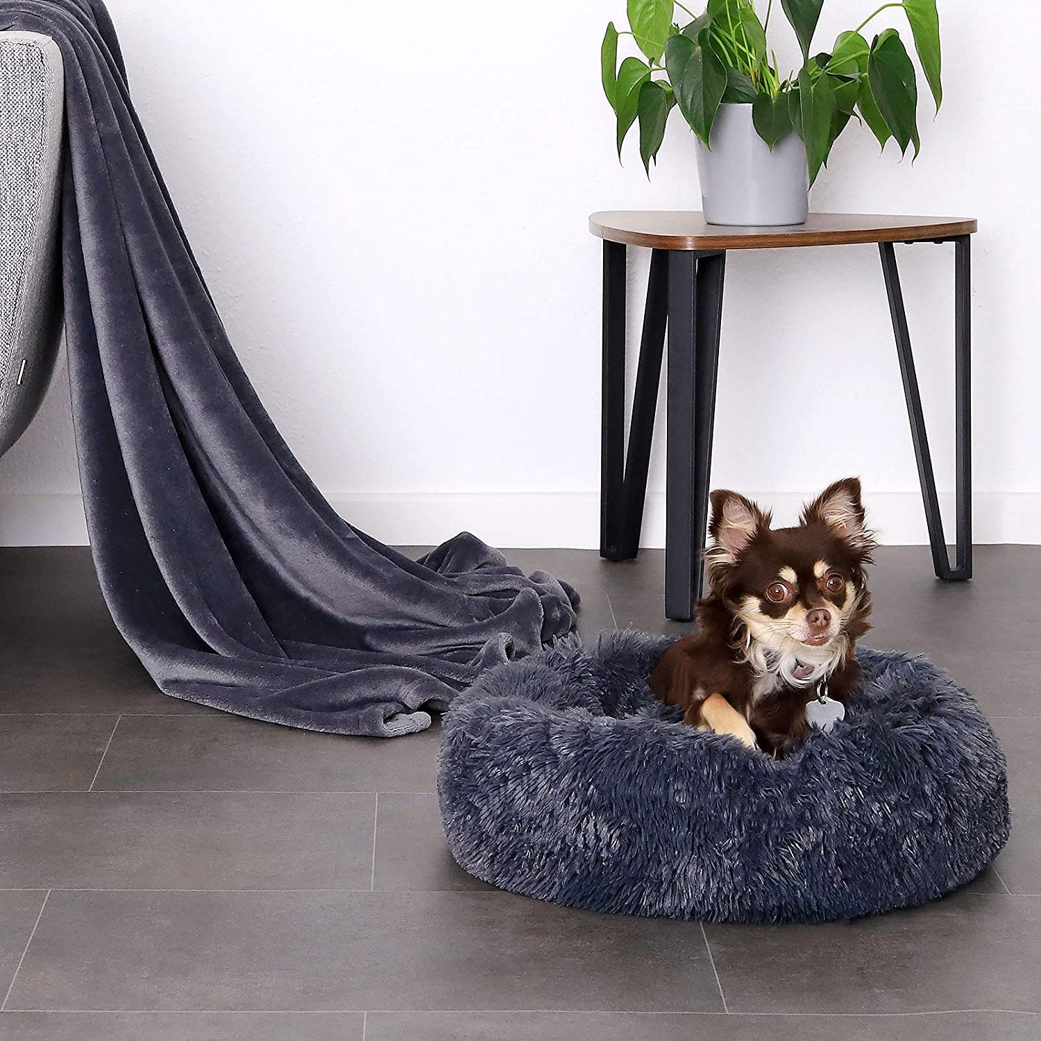 Coussin chat et chien apaisant avec rebords surélevés