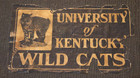 Antique Black Leather Luggage Bag w/ Old University of Kentucky Labels — photo 2