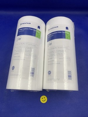  2x Pentair DGD-5005 Big Blue Water Filter, 10-Inch Whole House Sediment Filter