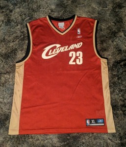 reebok lebron james jersey