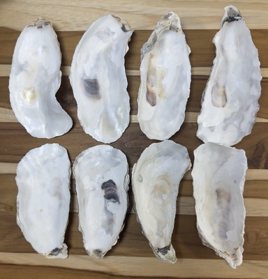 #ad #ad 35 Narrow Oyster Shells Cup Side 5” To 6” Bulk Clean No Smell Art Crafts Dish $54.99