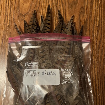 Authentic Wild Pheasant Tail Feathers. 10 Pieces. 8-12 inches.