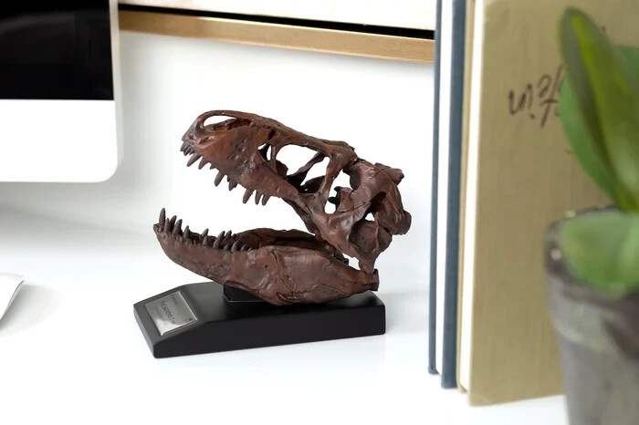 The Nation's T-Rex Skull Statue | 6-Inch Smithsonian Fossil