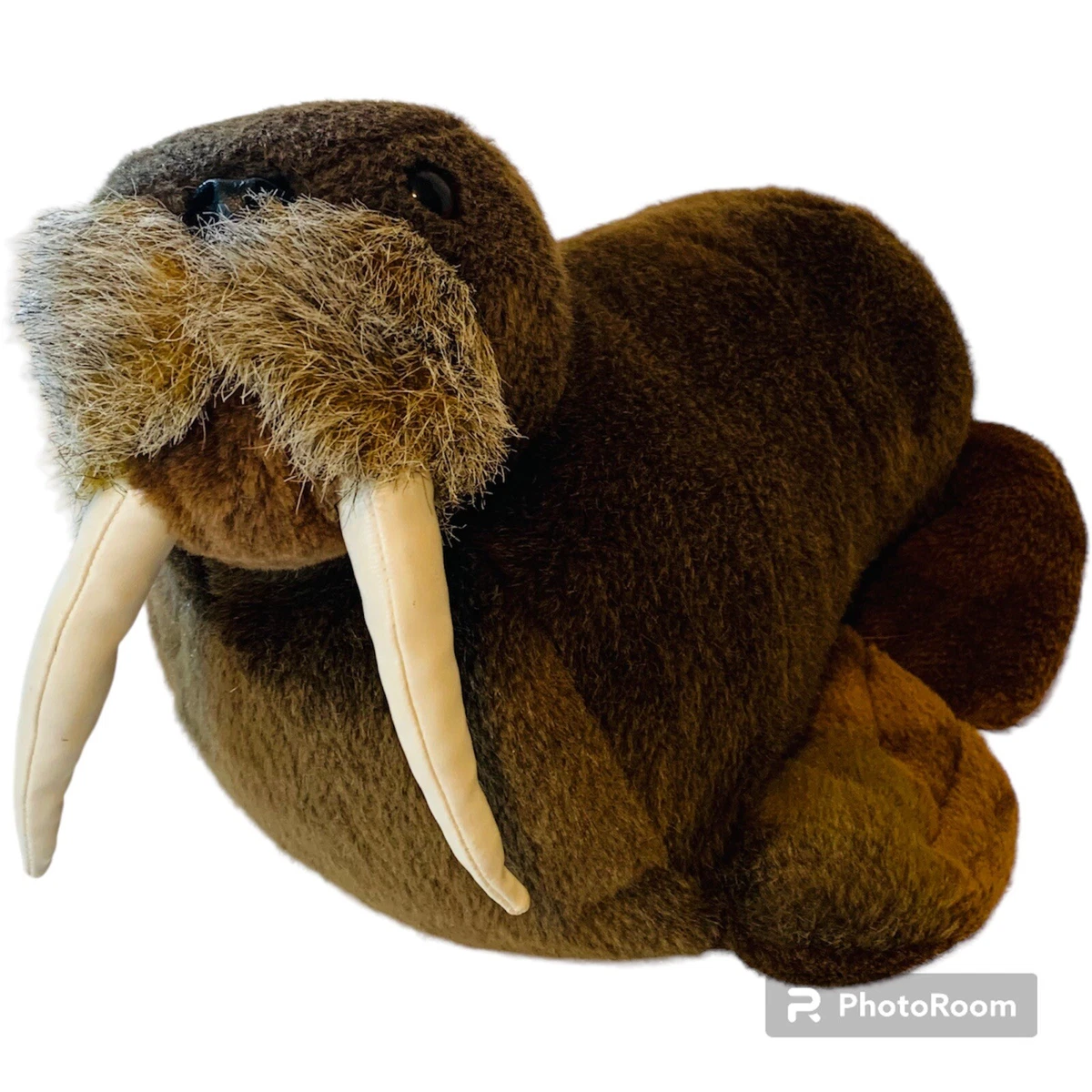 Walrus hotsell shoes sears