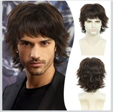 Short Mens Brown Wig Men Cosplay Wavy Curly Shag Costume Synthetic Fluffy OS NEW