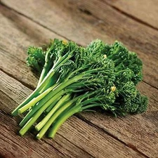 Baby Broccoli Aspabroc    250 seeds