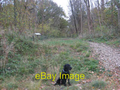 Photo 6x4 Legbourne Wood Nature Reserve North Reston looking sw along the c2007