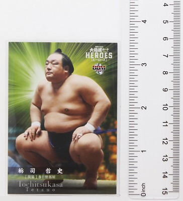 tachitsutetomosu Tochitsukasa Tetsuo (Sekiwake) - 2021 BBM Sumo Wrestling Trading