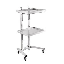 Salon Trolley Esthetician Cart Beauty SPA Facial Rolling Tray Organizer Stand
