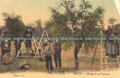 R392048 Salon Olivaison en Provence E A Postcard