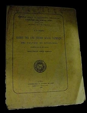 Parona ESSAGE FOR A STUDY ON GOATS cliff limestones prealps venetian