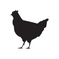 Chicken Poultry - Vinyl Decal Sticker - Multiple Color  Sizes - ebn168