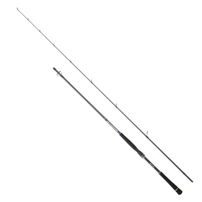 Hearty Rise Salt Monster SW 2,60m 10-60g - Spinnrute, Meeresrute, Angelrute Rute