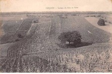 89 - CHICHEE - SAN50855 - Coteau du Bois de Serre