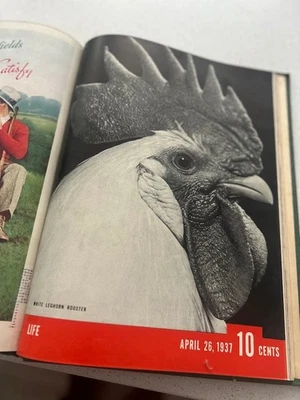 LIFE Magazine Bound Volume: March - April 1937 - Image 1 of 4