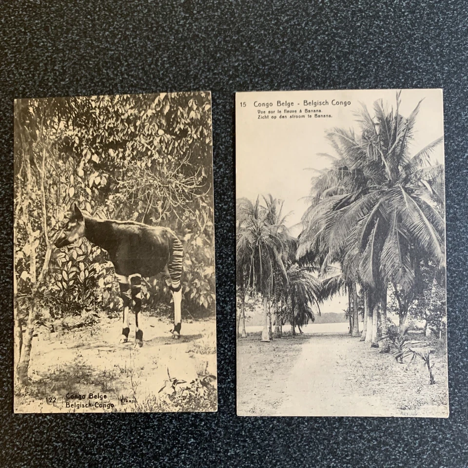 BELGIAN CONGO Original Postcards x 47 Collection Excellent Condition - image 2 of 4