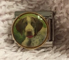 Dog (pointer, bird dog?) 9mm Italian Modular Link Charm For Bracelet