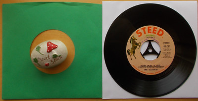 The ILLUSIONS How Does It Feel Once In A Lifetime Steel Records 45-721- US Press