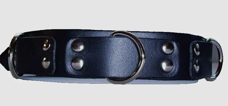 Exklusives blaues Designer-Lederhalsband mit Nieten & Rollschnallen-Verschluss - Bild 2 von 4