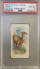 1900 Wills Wild Animals Of The World (Green Back) LLAMA PSA 4 VG-EX