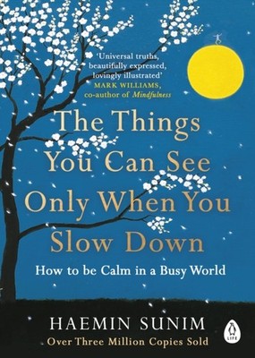 THINGS YOU CAN SEE WHEN YOU SLOW DOWN by Haemin Sunim Paperback Self Help