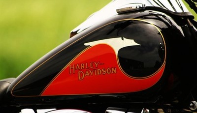 ''Bird'' DECALS for Harley 1933 Gas Tanks - CREAM Color