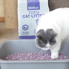 Tofu Cat Litter Dust-Free Kitty Litter Ultra Absorbent Clumping Pellet Litter.